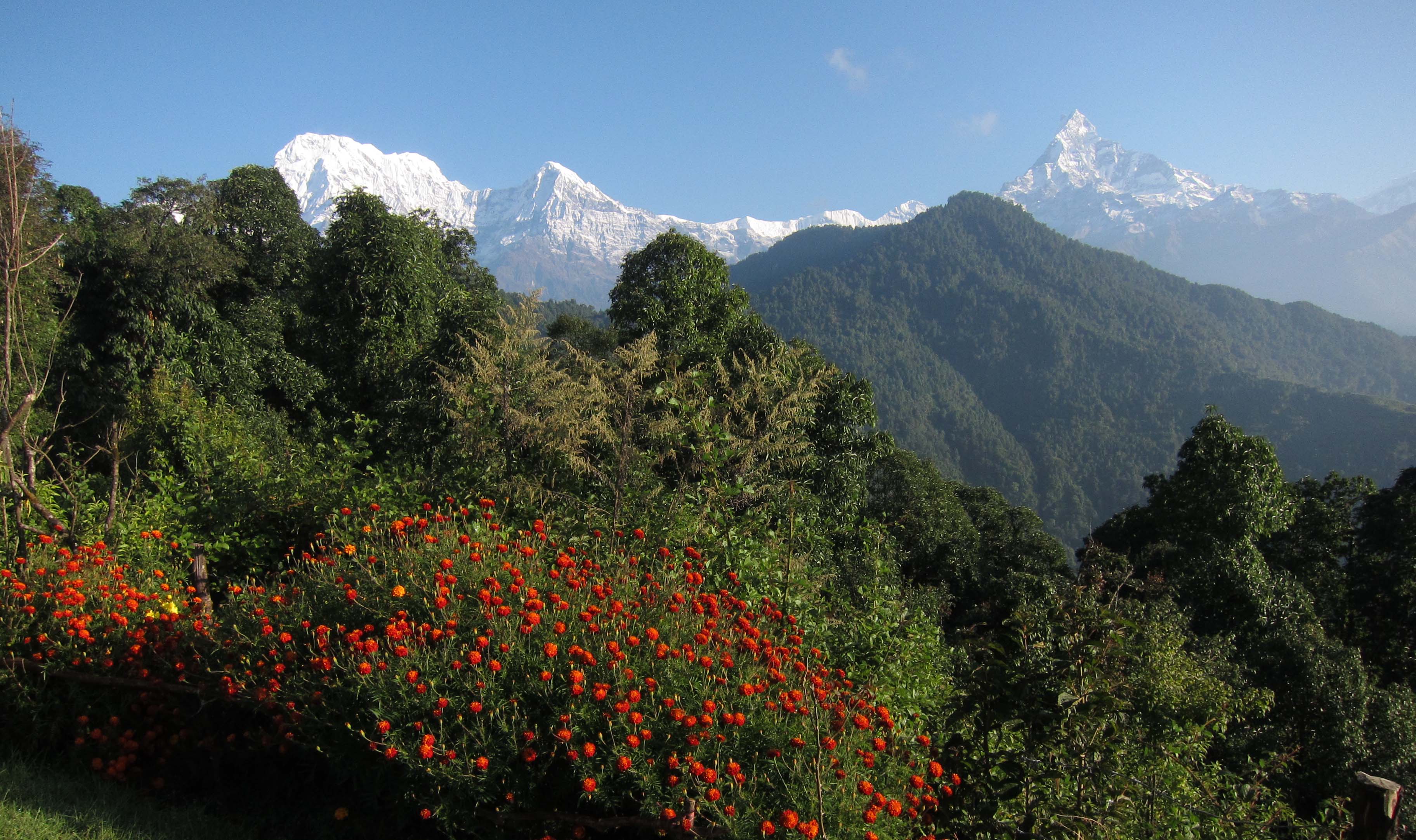 Winter Treks in Nepal 